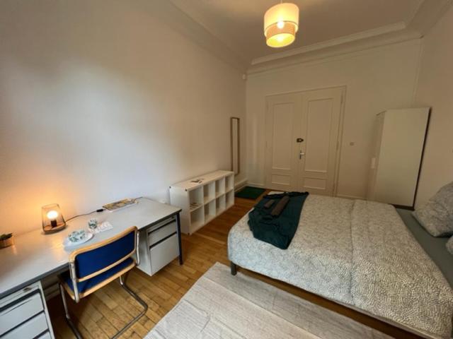 Chambres Privees -Private Room- Dans Un Spacieux Appartement - 100M2 Centre Proche Gare Mulhouse Buitenkant foto