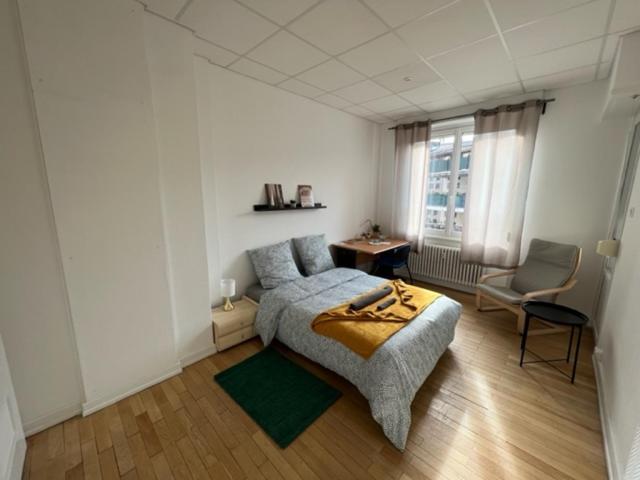 Chambres Privees -Private Room- Dans Un Spacieux Appartement - 100M2 Centre Proche Gare Mulhouse Buitenkant foto