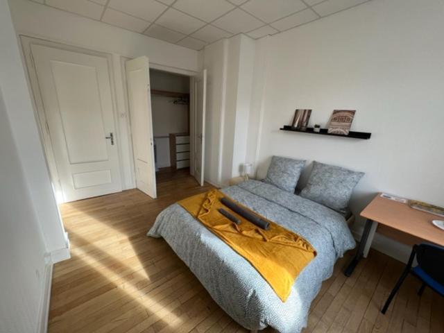 Chambres Privees -Private Room- Dans Un Spacieux Appartement - 100M2 Centre Proche Gare Mulhouse Buitenkant foto